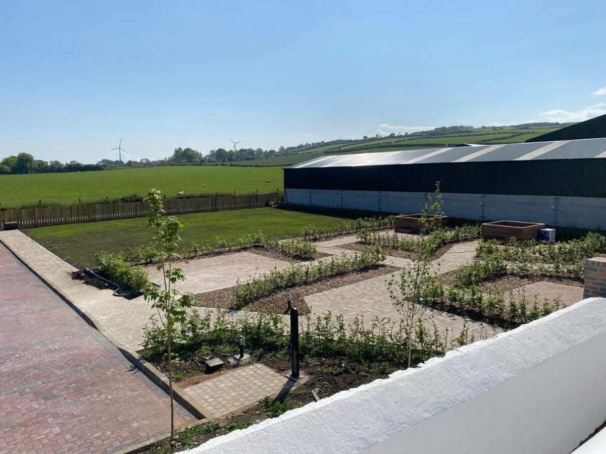 Ballymullock Barn Lofts Carncastle Exterior photo
